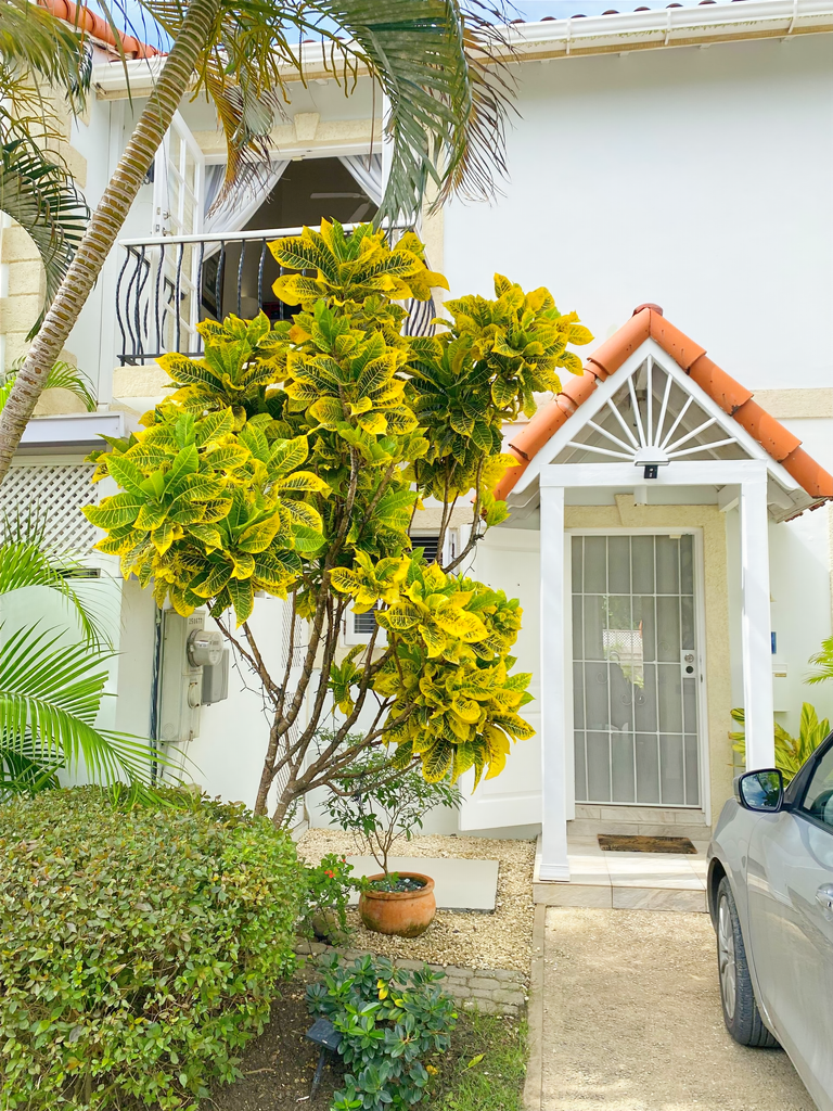 Image of  - 2 Bedrooms - 2 Bathrooms for Rental in St. James-Barbados, Image 34