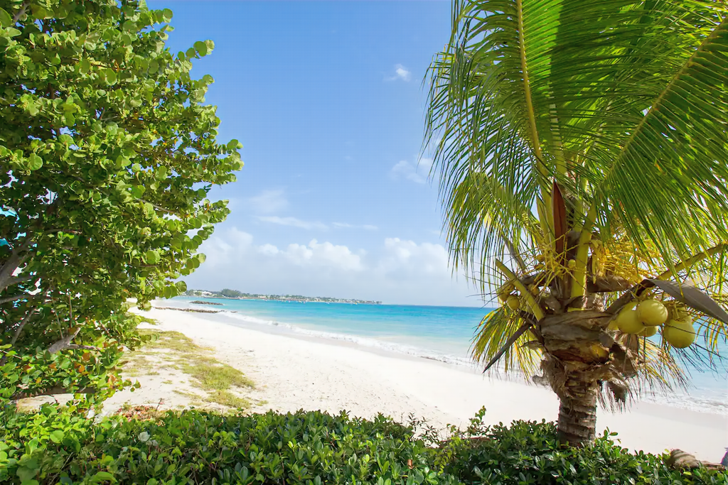 Image of Beachfront Apartment - 3 Bedrooms - 3 Bathrooms for Rental in Christ Church-Barbados, Image 13